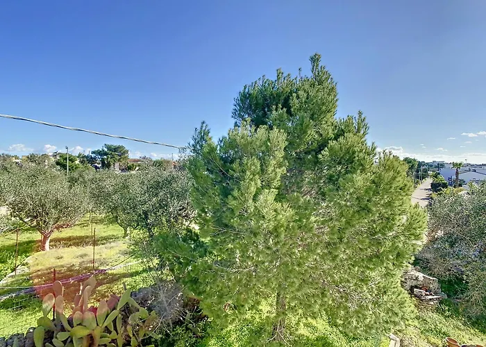 Дом отдыха Terra Bianca Salento Нардо